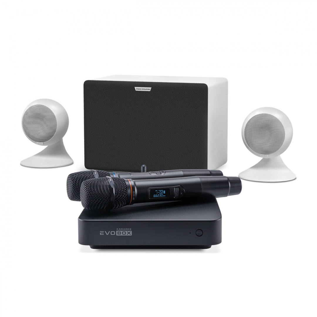 караоке-комплект EVOBOX Classic + EvoSound Sphere 2.1 в Владимирской области