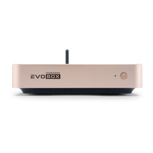EVOBOX Classic караоке-система для дома в Владимирской области