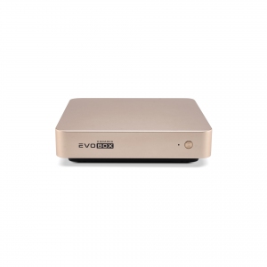 EVOBOX с микрофонами в Владимирской области